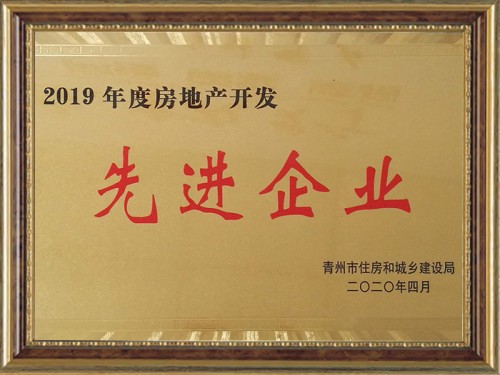 2019年度房地產(chǎn)開(kāi)發(fā)先 進(jìn)企業(yè)