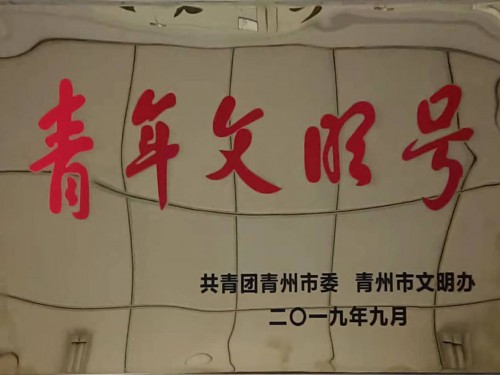 供熱公司被授予”青年文明號(hào)“